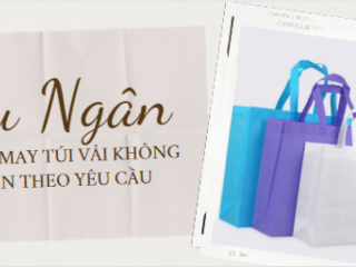 Túi xách vải không dệt